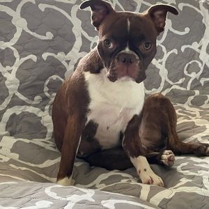 Meet your Posher, Kira